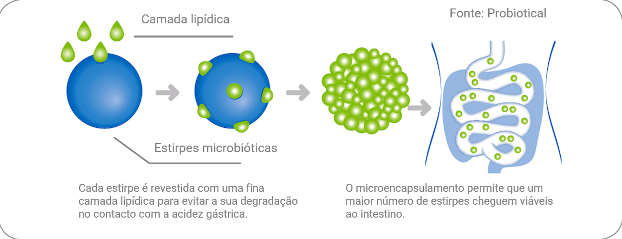 Osmobiotic  Tecnologia